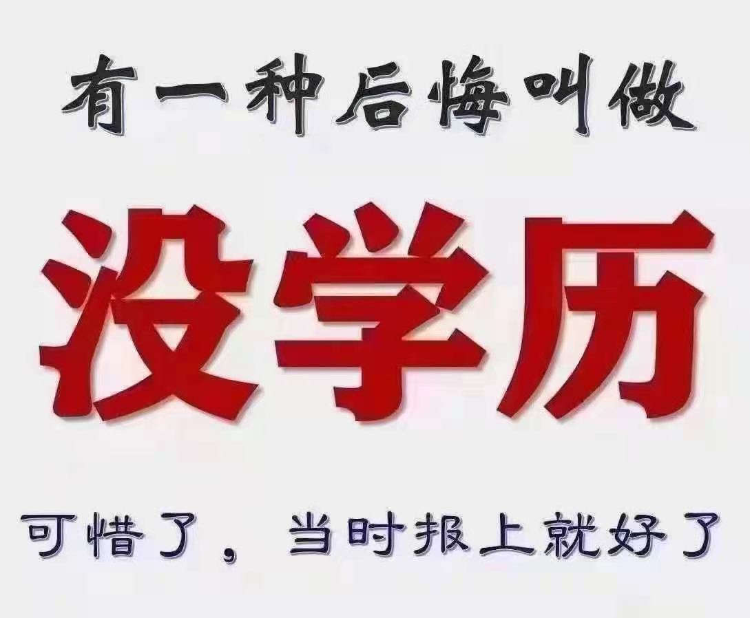 河南成考高升本报考条件及学费